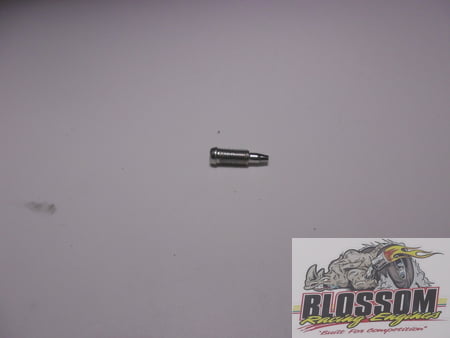 DRAIN SCREW