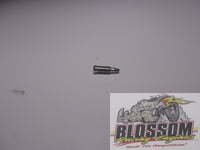DRAIN SCREW