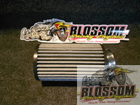 LO206 Air Cleaner