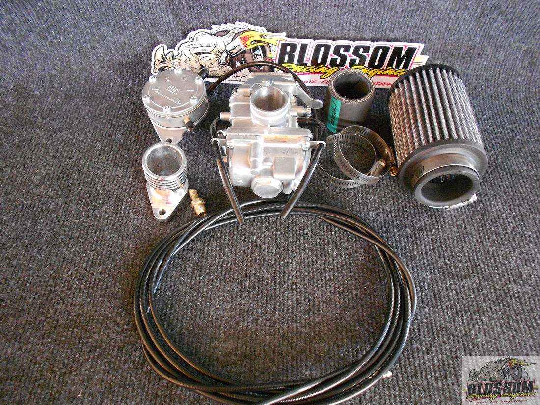 Kit De Réparation Diaphragme Pompe à Carburant Pour Moteurs Série TG/TF (TG18, TG20, TG24, TG28) - Compatible